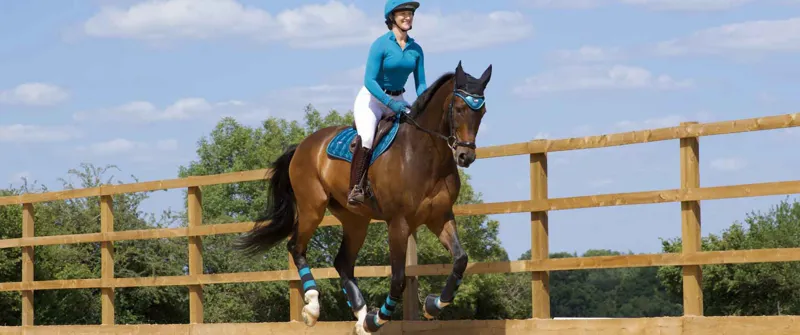 Woof Wear Performance Riding Shirt - Ocean-2